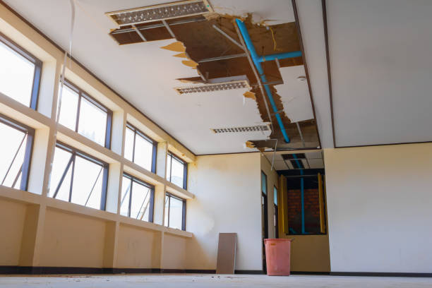 Best Fire Damage Restoration  in Sellersville, PA