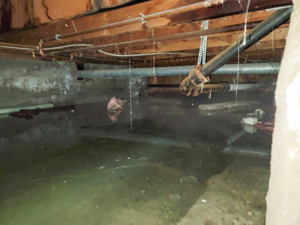 Best Local water damage restoration  in Sellersville, PA