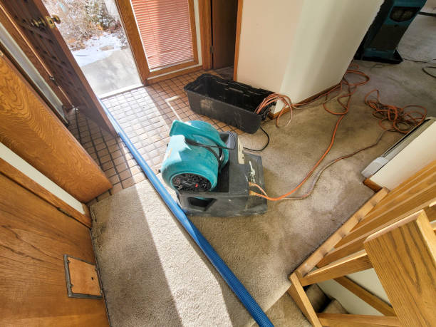 Best Water damage restoration cost  in Sellersville, PA