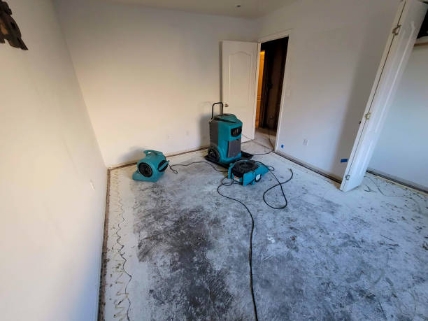 Best Flooded house restoration  in Sellersville, PA