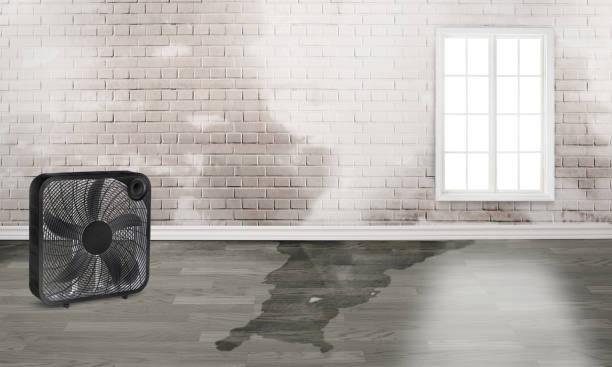 Best Sewage cleanup and water damage restoration  in Sellersville, PA