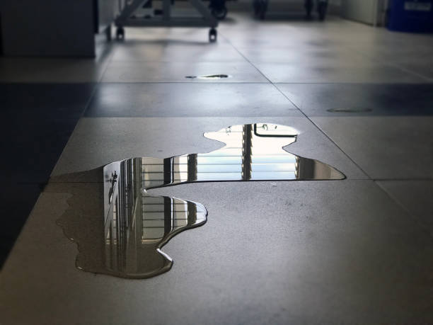 Best Commercial water damage restoration  in Sellersville, PA