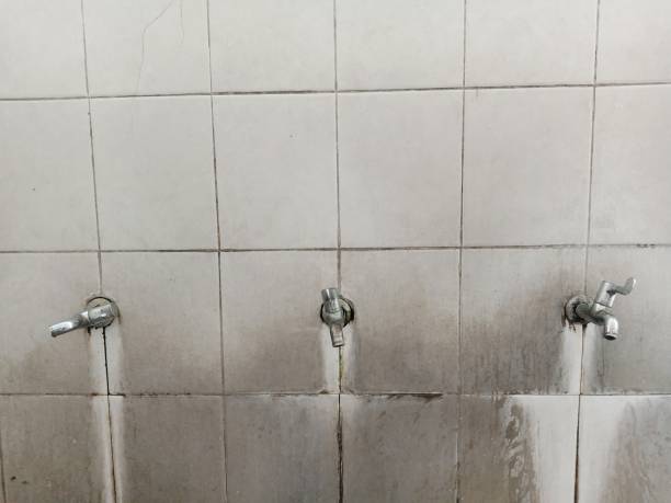 Best Mold removal after water damage  in Sellersville, PA