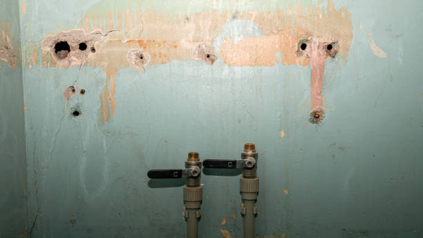Best Flood damage cleanup  in Sellersville, PA